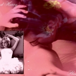 A Favor by FanArts Series