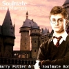 harryssoulmate