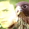 ianbymi