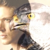 mattbymi
