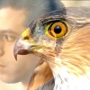 peterbymi