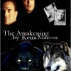 awakening-fanartsseries
