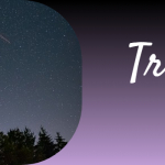 True North
