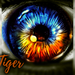Eye of the Tiger - Rough Trade 2020